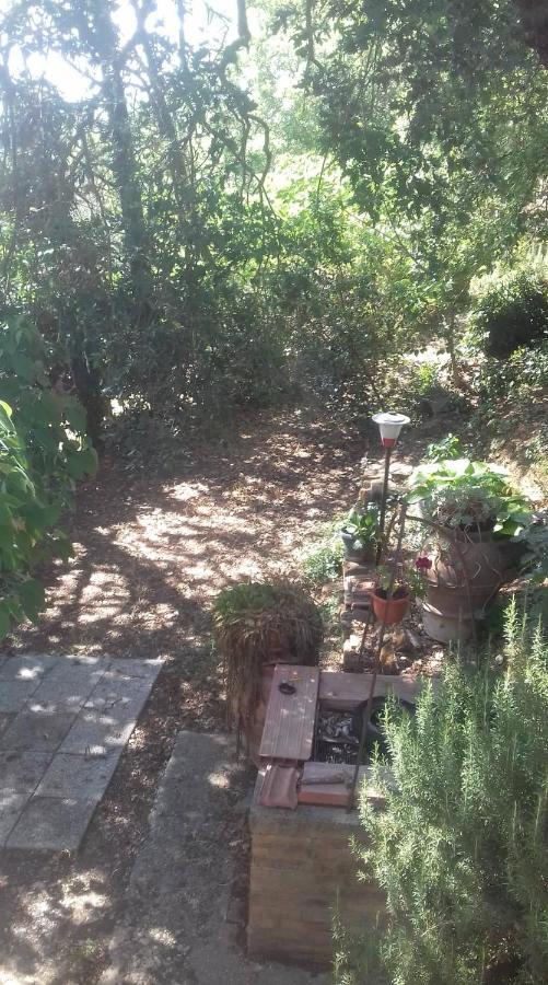 La Casa Di Lili Villa Lugnano in Teverina Екстериор снимка